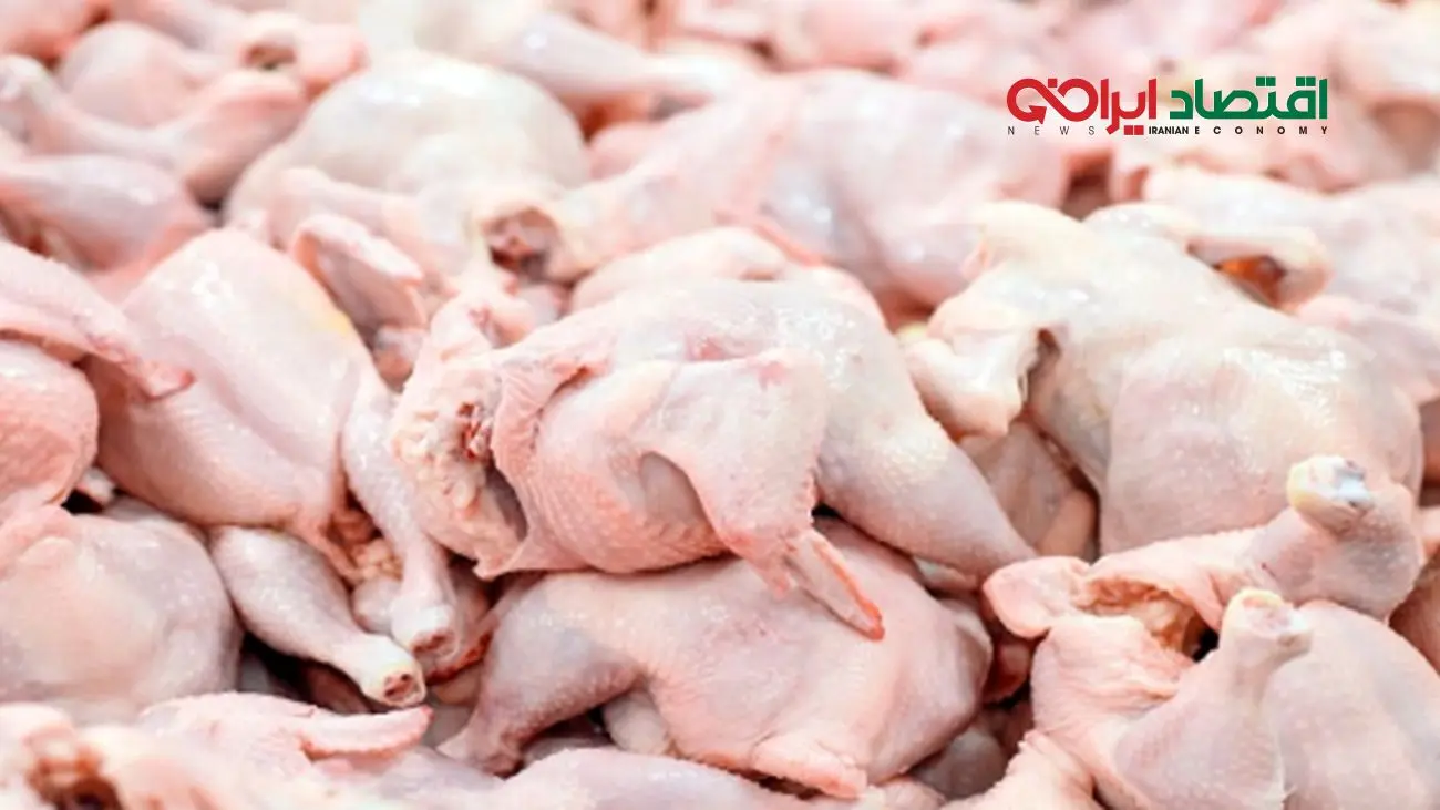 قیمت جدید مرغ در بازار چقدر است؟