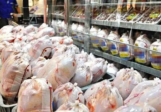قیمت عمده مرغ در میدان میوه و تره بار تهران !