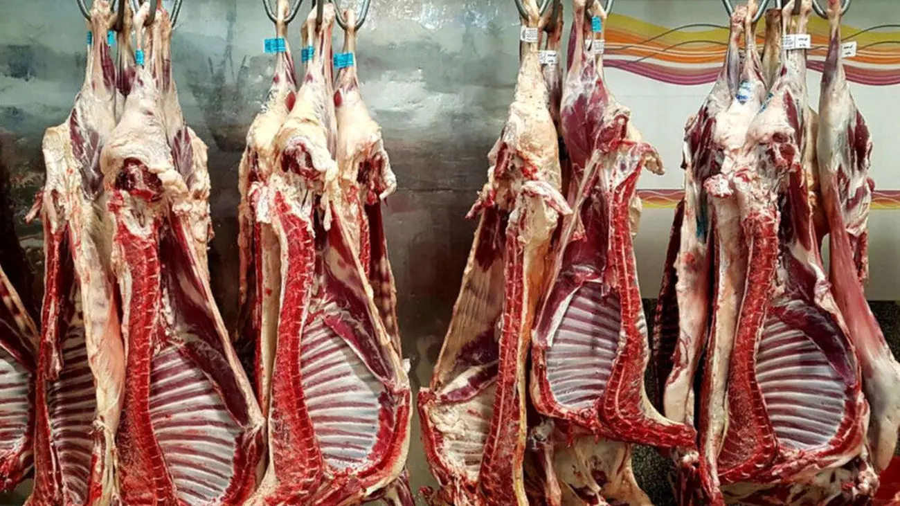 بازار گوشت قرمز دچار سرگیجه شد