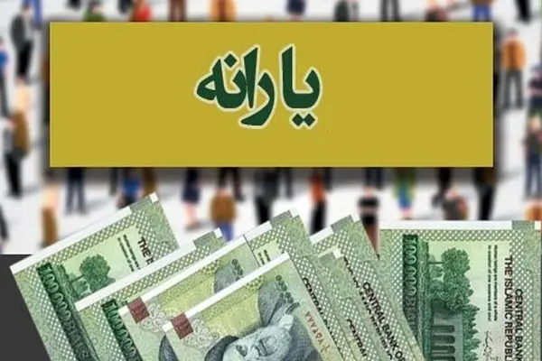 جزییات حذف یارانه‌ بگیران با 5 شاخص / طیبه حسینی تشریح کرد