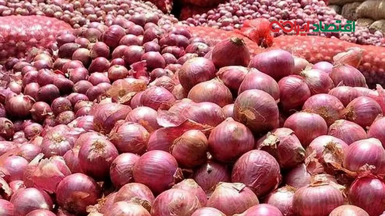 قیمت پیاز سرسام آور شد / چرا پیاز گران شد؟