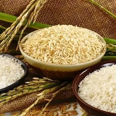 از این تاریخ برنج ارزان در فروشگاه‌های زنجیره‌ای عرضه می شود