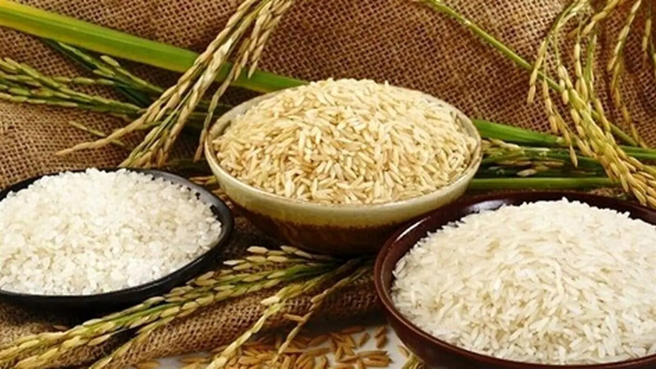 از این تاریخ برنج ارزان در فروشگاههای زنجیرهای عرضه می شود