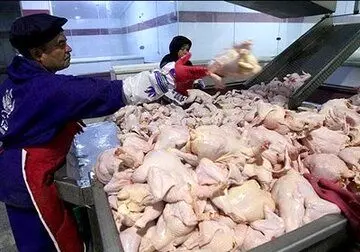 این ۳ عامل متهمان اصلی گرانی و کمبود مرغ در بازار هستند