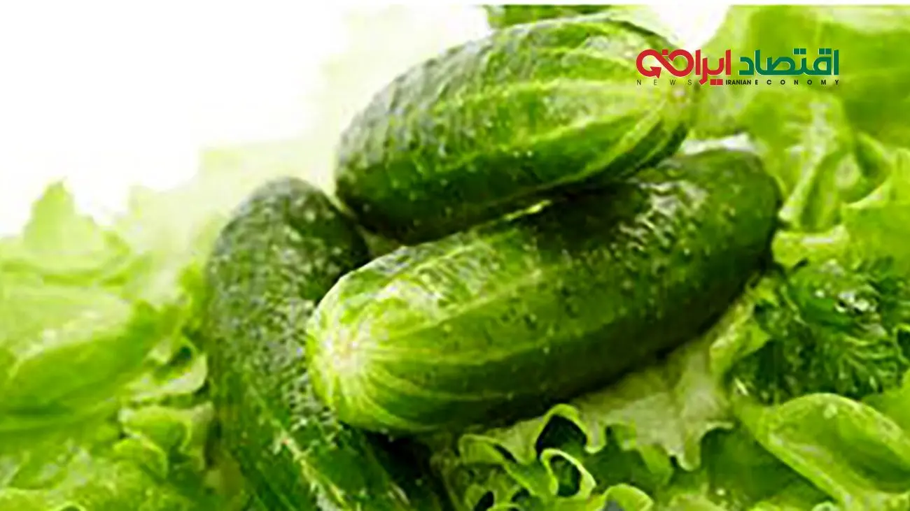 بحران قیمت میوه و سبزیجات/ خیار و کاهو در صدر گرانیها!