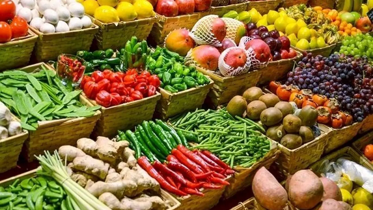 پیشنهاد ایجاد ۱۰۰هکتار گلخانه برای یافتن راه حل بومی و هوشمندسازی